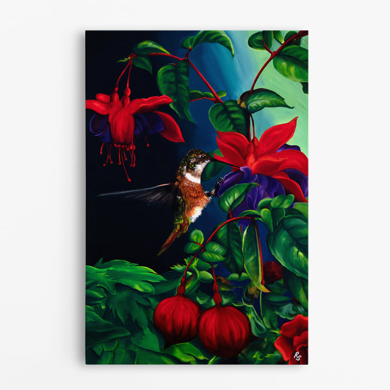 Hummingbird painting feeding from a flower, navy blue background with plants and leaves, colorful vibrant red flowers - canvas print 24x26 inches