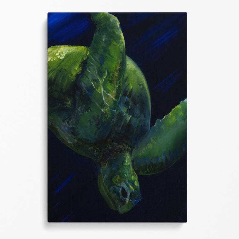 Underwater Sea Turtle Dark Blue Background Canvas Print